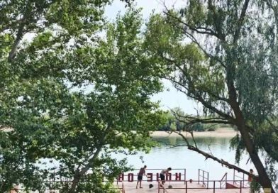 Береги свою планету